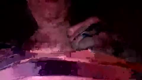 martinhopetaylor online show from July 2026 09:27:01 AM