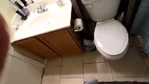 maskedmagikstik online show from December 2025 11:48:01 AM