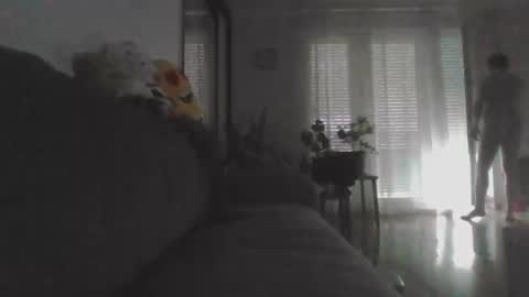 Snapshot of masoni_devil_take_xy chatting on May 2026 01:49:02 PM Nikola online show from May 2026 01:49:02 PM