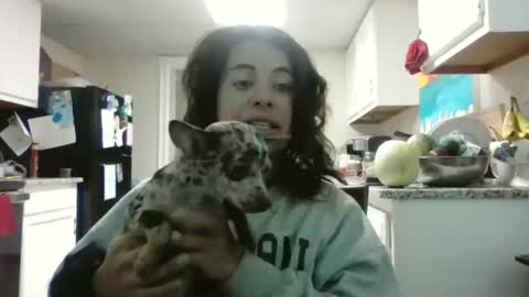 Snapshot of mastressluna chatting on November 2025 09:24:02 PM Mastress Luna online show from November 2025 09:24:02 PM