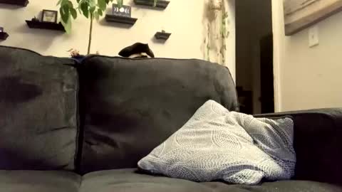 masturbationsession69 online show from January 2026 06:37:02 AM