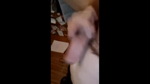 masturbator469658 online show from March 2026 01:36:01 PM