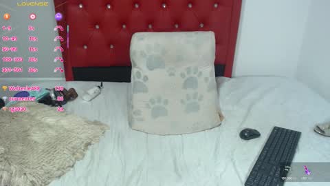 mature2023 online show from November 2025 09:48:02 PM