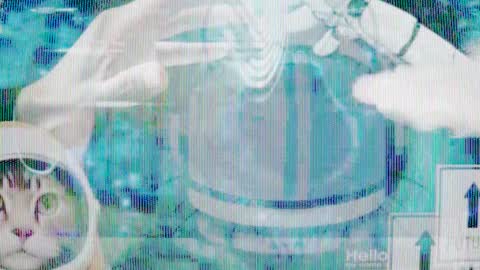 Future Max online show from January 2025 07:00:01 PM