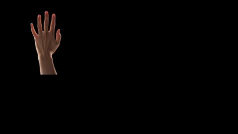 Future Max online show from February 2025 04:26:01 PM