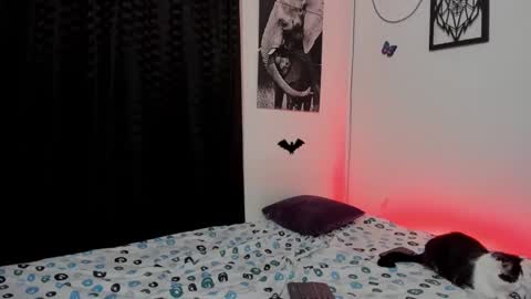 Snapshot of maxi_styles chatting on March 2025 04:36:02 AM Alex online show from March 2025 04:36:02 AM