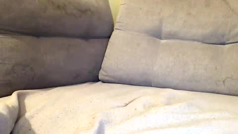 maximemax14 online show from February 2026 08:18:01 PM