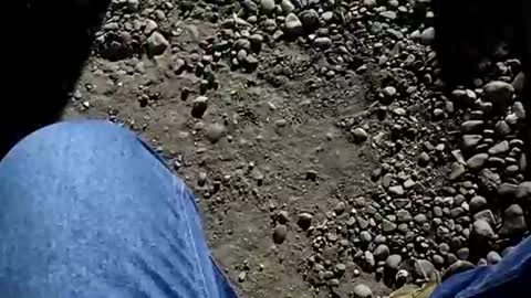 maximo8506 online show from July 2026 08:29:01 AM