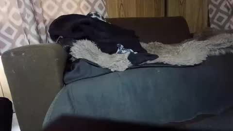 Max online show from February 2025 07:15:02 AM