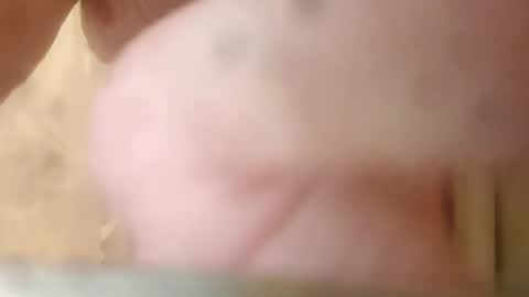 Snapshot of maxmelon2800 chatting on October 2025 11:04:01 PM maxmelon2800 online show from October 2025 11:04:01 PM