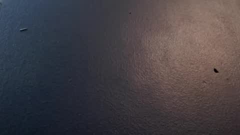 Snapshot of maxwellandpam chatting on January 2025 05:09:01 AM Max and Pam Voyeur Cam online show from January 2025 05:09:01 AM