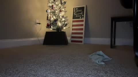 Snapshot of maxx276828 chatting on November 2025 04:44:02 AM maxx276828 online show from November 2025 04:44:02 AM