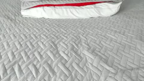 Maybelline69 online show from December 2025 06:03:02 PM