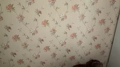 Lily  online show from June 2026 09:07:02 AM