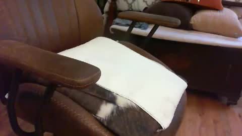 medfirebear online show from November 2025 05:59:01 PM