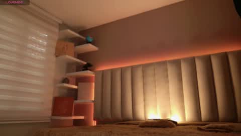     online show from November 2025 12:13:01 PM