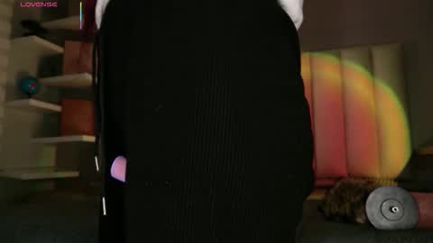     online show from February 2026 01:06:01 PM