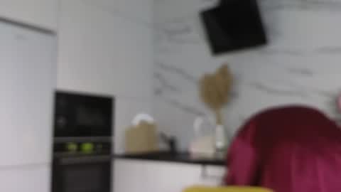 Snapshot of megancooks chatting on January 2025 11:21:02 AM Michelle online show from January 2025 11:21:02 AM