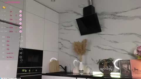 Snapshot of megancooks chatting on January 2025 02:17:02 PM Michelle online show from January 2025 02:17:02 PM