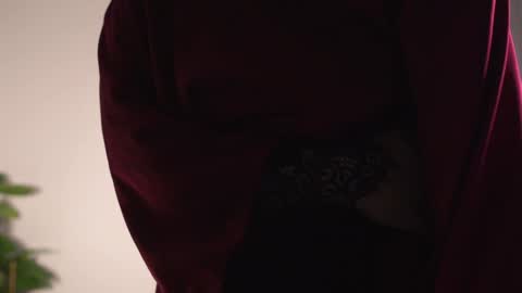 Snapshot of megancooks chatting on January 2025 11:35:01 AM Michelle online show from January 2025 11:35:01 AM