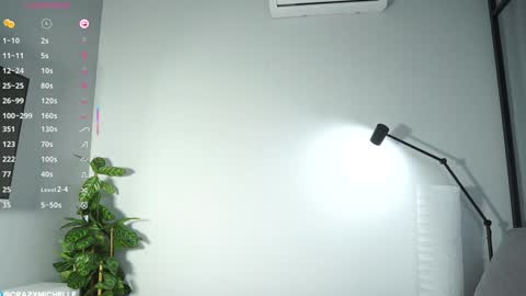 Snapshot of megancooks chatting on February 2025 08:08:01 AM Michelle online show from February 2025 08:08:01 AM