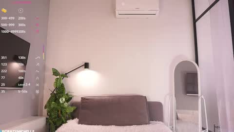 Snapshot of megancooks chatting on February 2025 08:18:01 AM Michelle online show from February 2025 08:18:01 AM