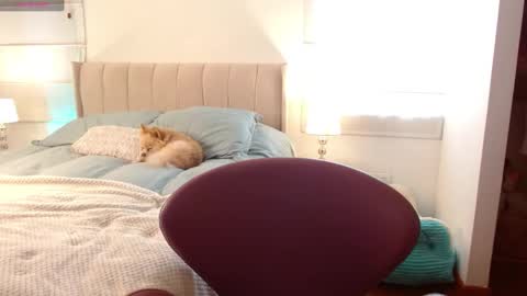 MEGAN online show from January 2025 08:35:01 PM