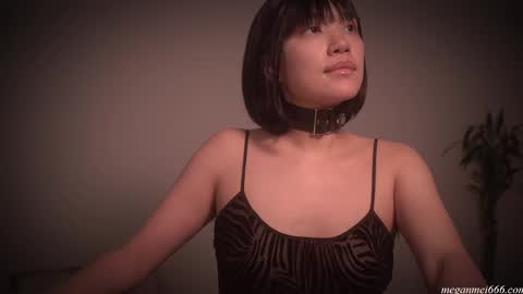  for more 3 online show from November 2025 02:54:02 AM