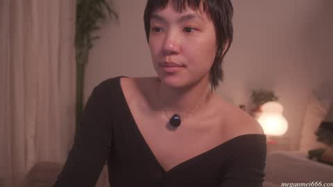 Snapshot of meganmei666 chatting on May 2026 04:07:02 AM for more 3 online show from May 2026 04:07:02 AM