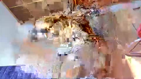 MEG online show from November 2025 04:55:02 AM