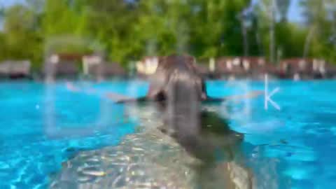 Adel online show from February 2026 06:09:01 PM