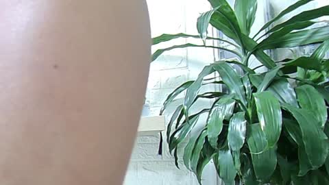 Melissa online show from January 2025 11:37:02 AM