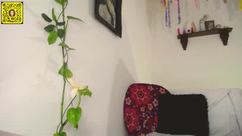 melissa online show from February 2025 12:17:02 AM