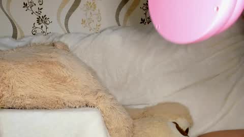 MelMooon online show from May 2026 10:04:01 PM