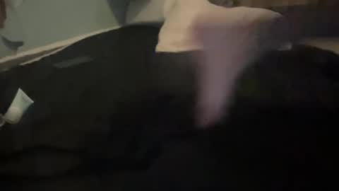 melt13 online show from October 2025 12:05:01 PM