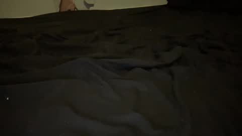 melt13 online show from November 2025 04:11:01 AM