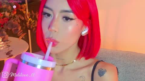 Snapshot of melytaylor_ chatting on April 2026 02:03:02 AM Melissa online show from April 2026 02:03:02 AM