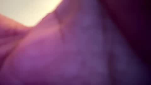 memolesta13 online show from February 2025 02:06:02 AM