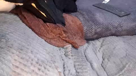 Giorggio Fragacci online show from April 2026 05:12:02 AM