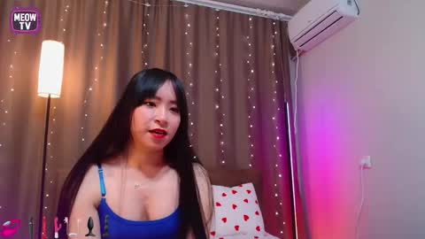 meowkami online show from February 2026 11:42:02 PM