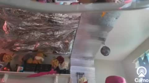 Snapshot of merelyalover chatting on December 2024 09:04:02 PM gurlnips online show from December 2024 09:04:02 PM