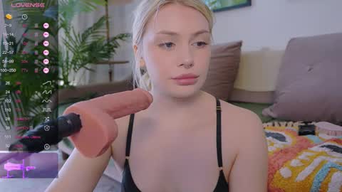 Stella online show from September 2025 09:23:02 AM