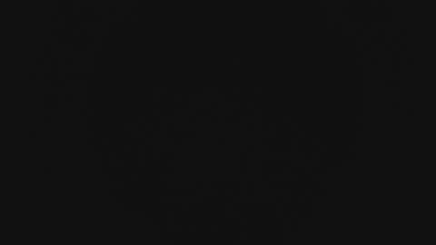 Wade online show from February 2026 11:28:02 AM