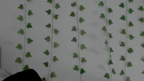 MIA online show from February 2026 09:42:01 PM