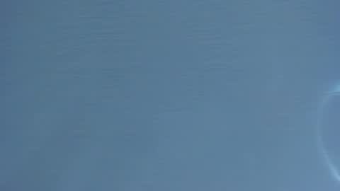 Mia online show from January 2026 02:15:01 AM