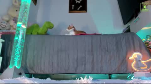 Mia  online show from November 2025 11:43:02 PM