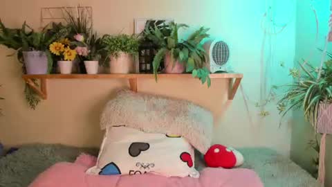 Miaa online show from June 2026 04:22:02 PM
