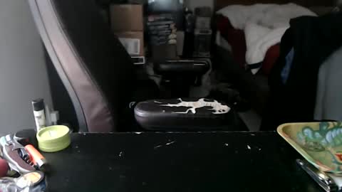 Snapshot of miaking chatting on October 2025 04:39:01 PM Mark online show from October 2025 04:39:01 PM