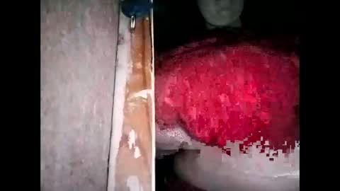 miamooreh online show from March 2026 04:35:01 PM