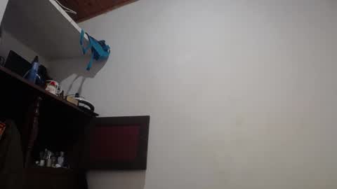 Snapshot of michaeel_blue chatting on June 2026 07:08:01 PM Michael online show from June 2026 07:08:01 PM
